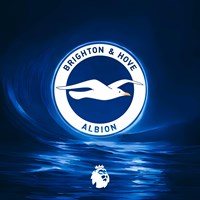 Brighton & Hove Albion: Những chú chim hải âu bất khuất